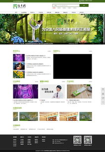 北京網(wǎng)站設(shè)計(jì)三版 從視覺到功能的全面進(jìn)化之路